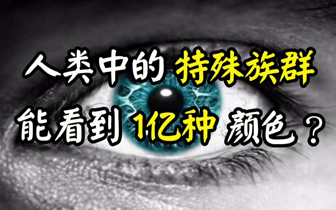 【极客公元】四色视者是什么,她们眼中的世界是什么样的?哔哩哔哩bilibili