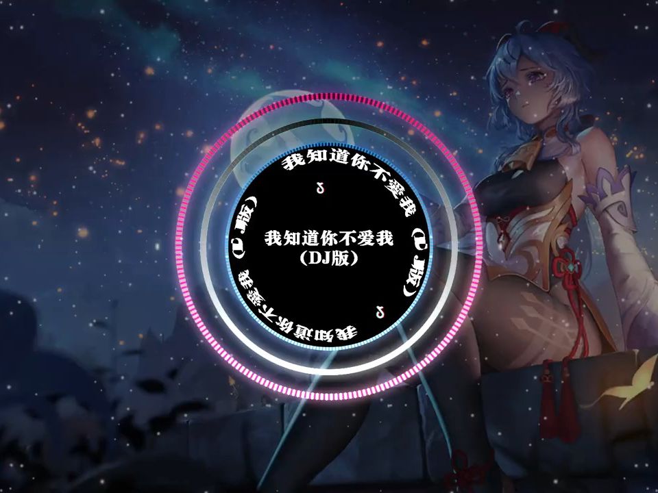 [图]我知道你不爱我（DJ版） DJ阿智 Remix Hot Douyin TikTOk 2023