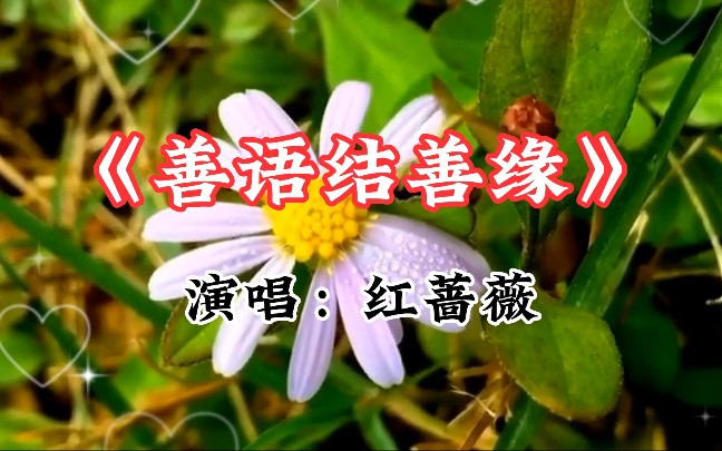 [图]红蔷薇演唱的一首《善语结善缘》旋律优美，深情入心，很好听