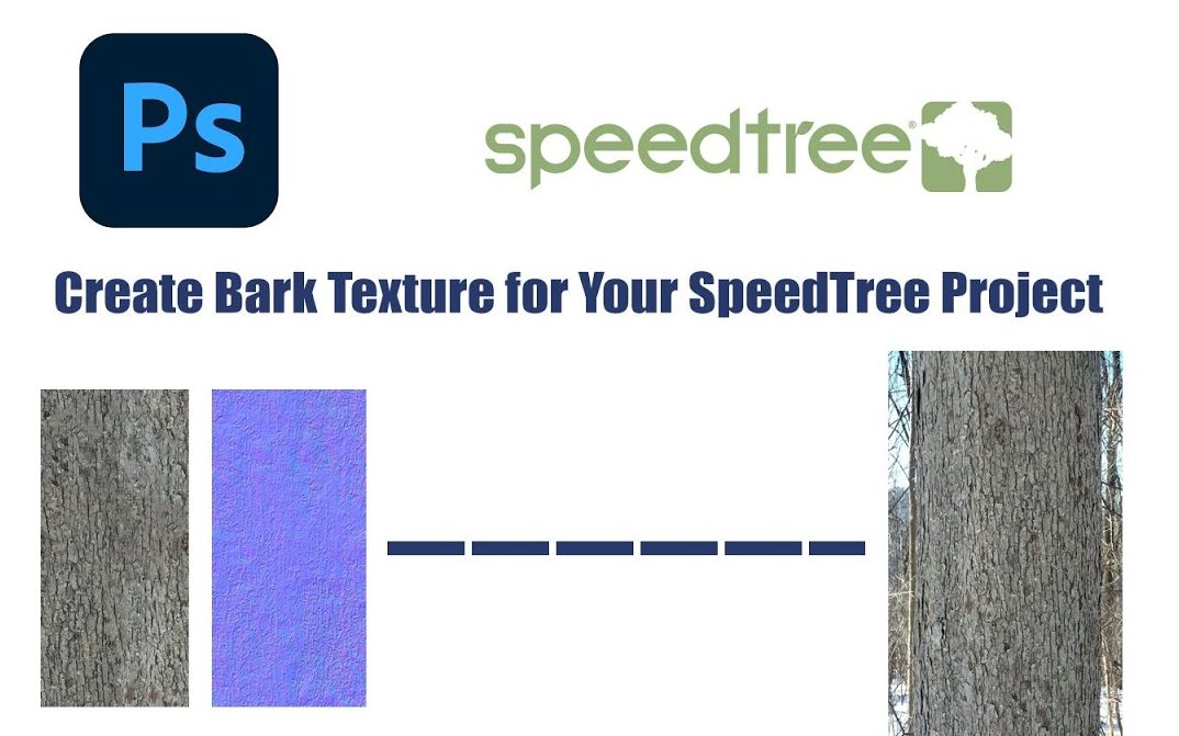 SpeedTree+Photoshop创建树皮纹理全流程!哔哩哔哩bilibili