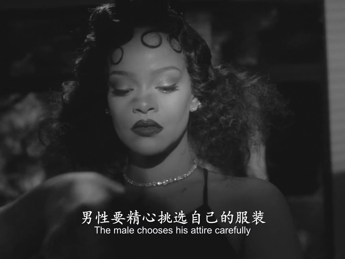 Rihanna 和 A$AP Rocky 一起拍唇膏广告,哈哈哈哔哩哔哩bilibili