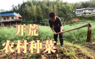 Download Video: 在农村开荒种地，种了辣椒茄子豆角，你们觉得多久能有得吃！