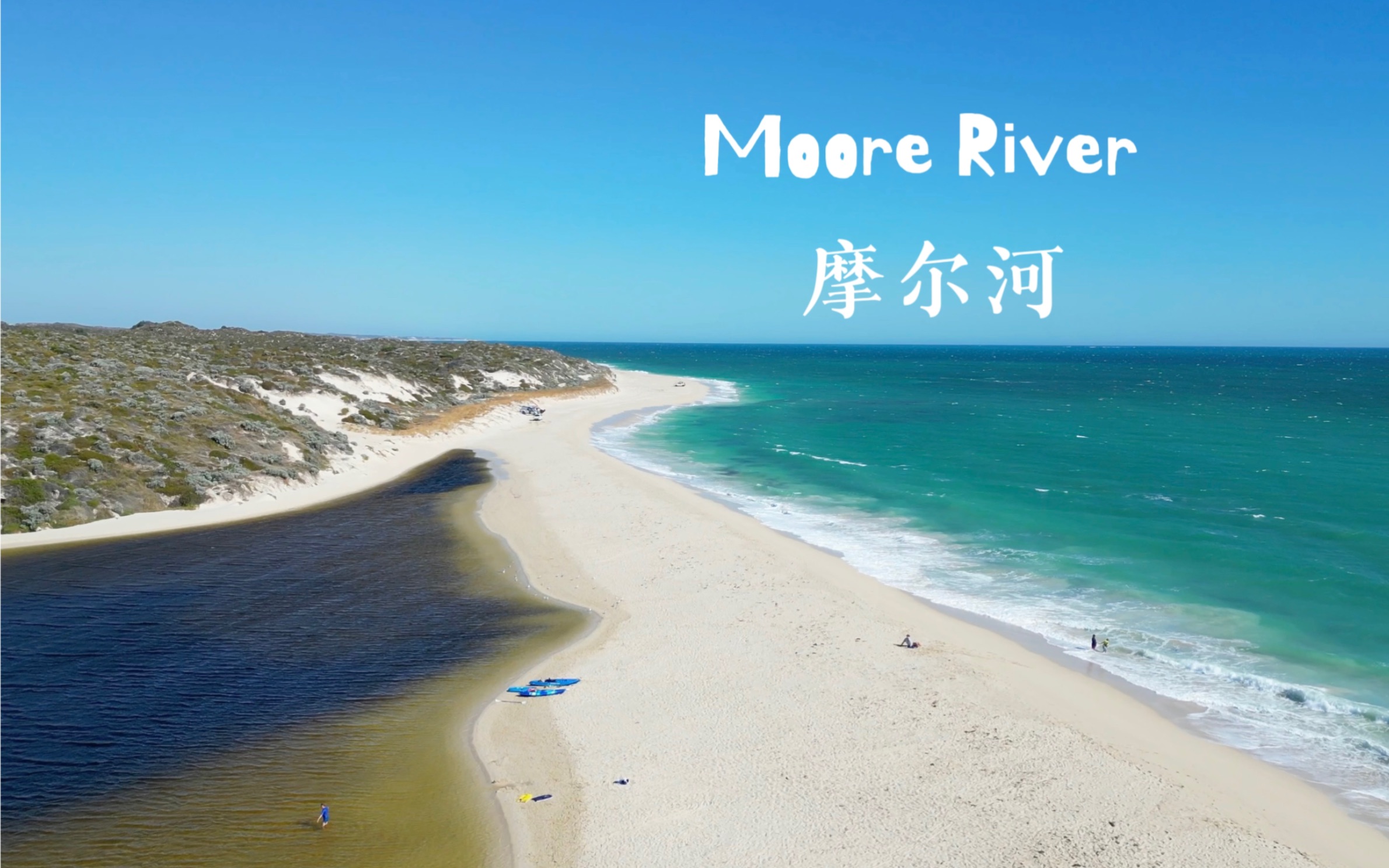 西澳Moore River摩尔河,河与海同框.第一次见到鹈鹕,旁边围了好多海鸥!哔哩哔哩bilibili