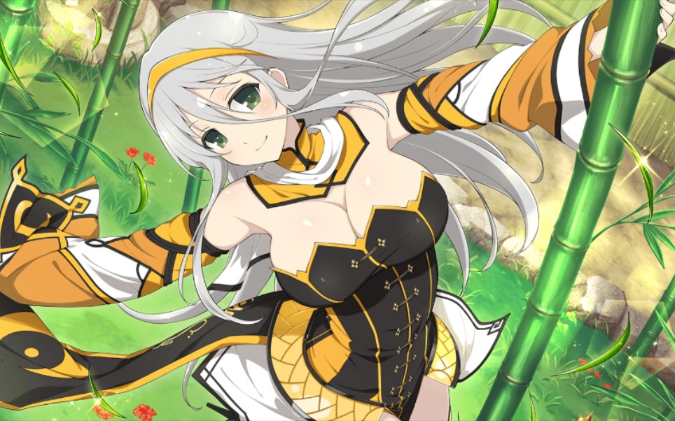 【忍者大师 闪乱神乐 new link】角色剧情 死塾月闪女学馆中学部 月光