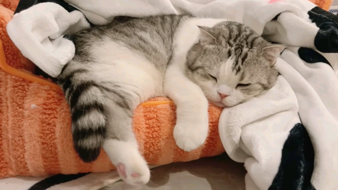 1112usmile笑容2:开怀大笑展现自我第1807期