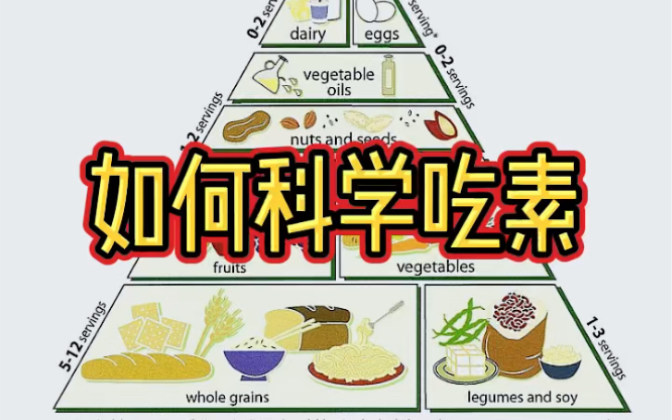 如何科学吃素?给素食者的饮食建议哔哩哔哩bilibili