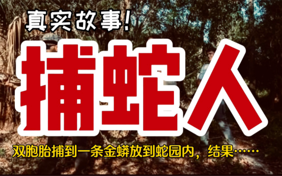 [图]【真实故事】捕蛇人：双胞胎捕到一条金蟒放到蛇园内，结果……