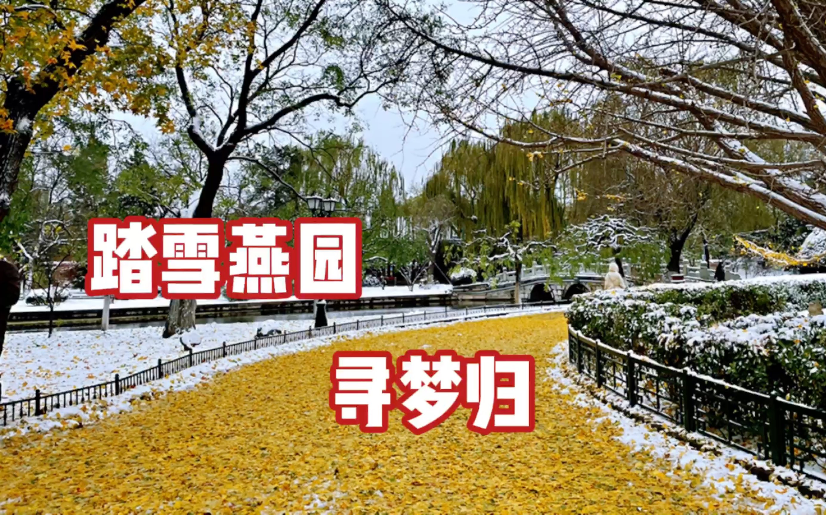 [图]踏雪燕园 寻梦归