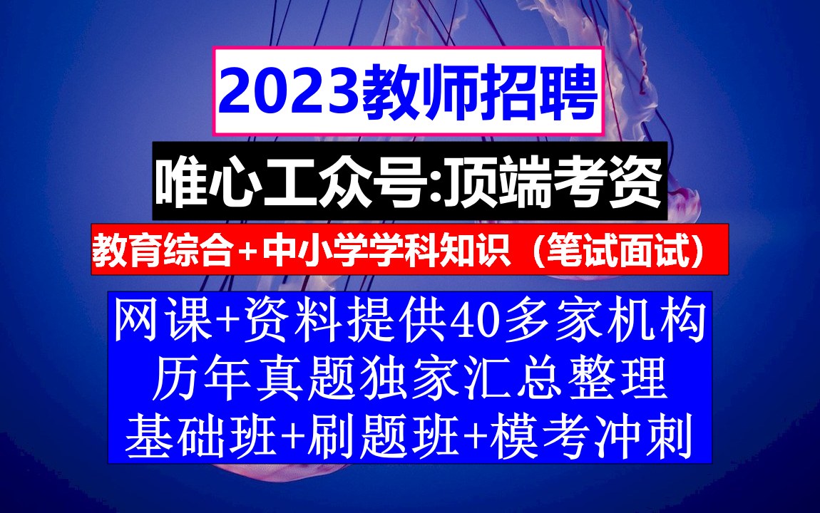 教师招聘公共基础知识,教师招聘海报图片,公招考试时间哔哩哔哩bilibili