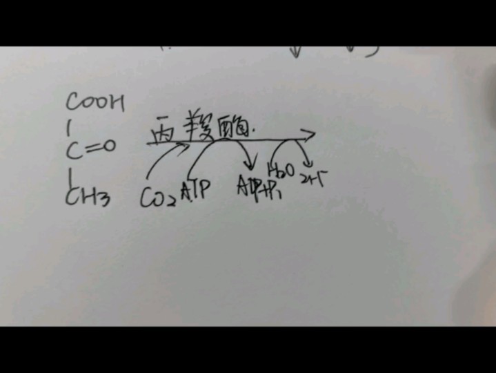 糖异生丨糖代谢关系总结图丨磷酸戊糖途径终于把糖代谢发完啦哔哩哔哩bilibili