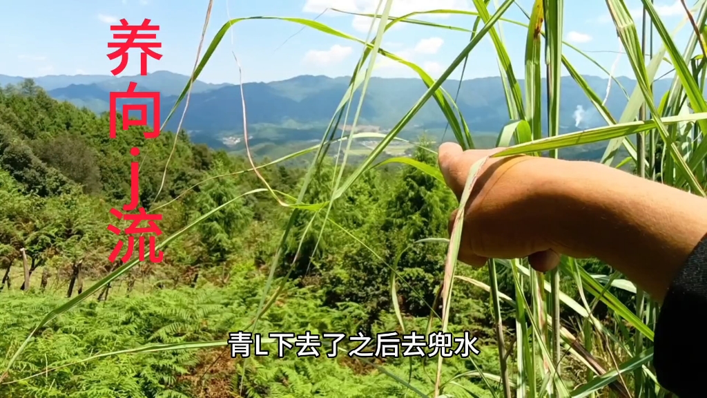 兴金文化:山水随拍辛山乙向做土