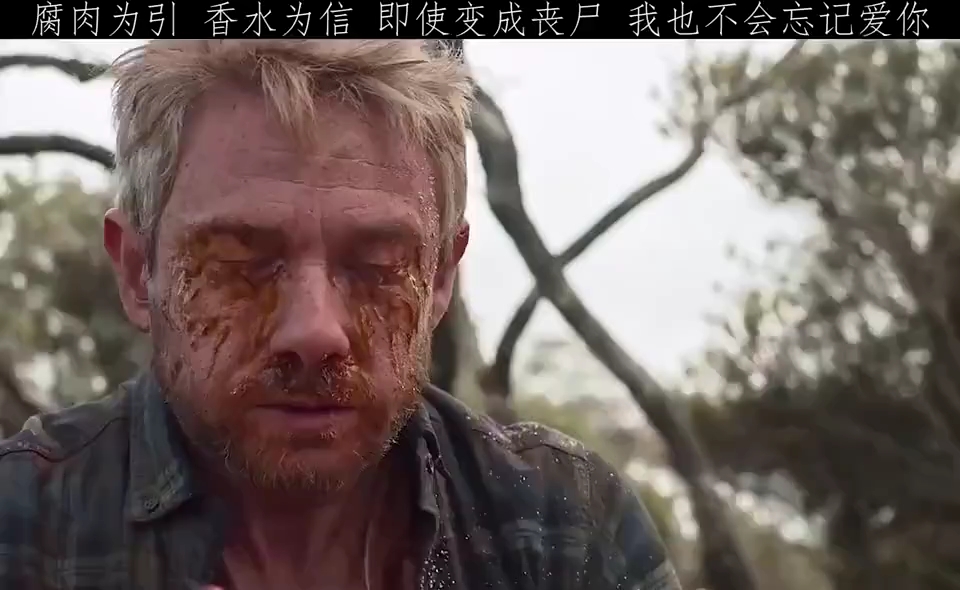 腐肉为引香水为信父爱如山负重前行