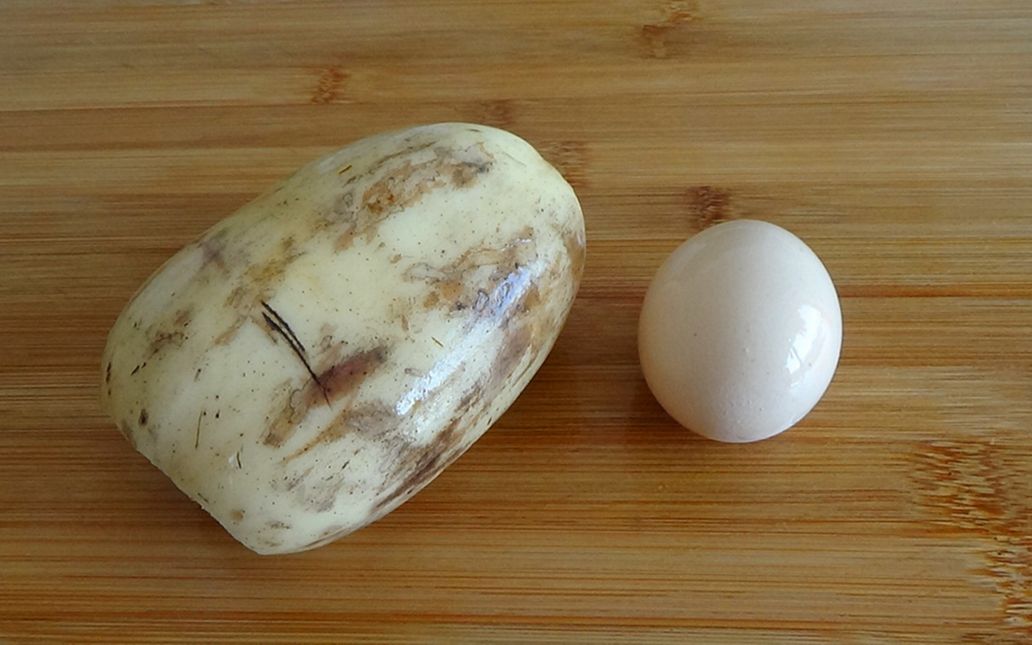 莲藕加鸡蛋百吃不厌的做法,我家一周吃7次,每次孩子吃光,真香