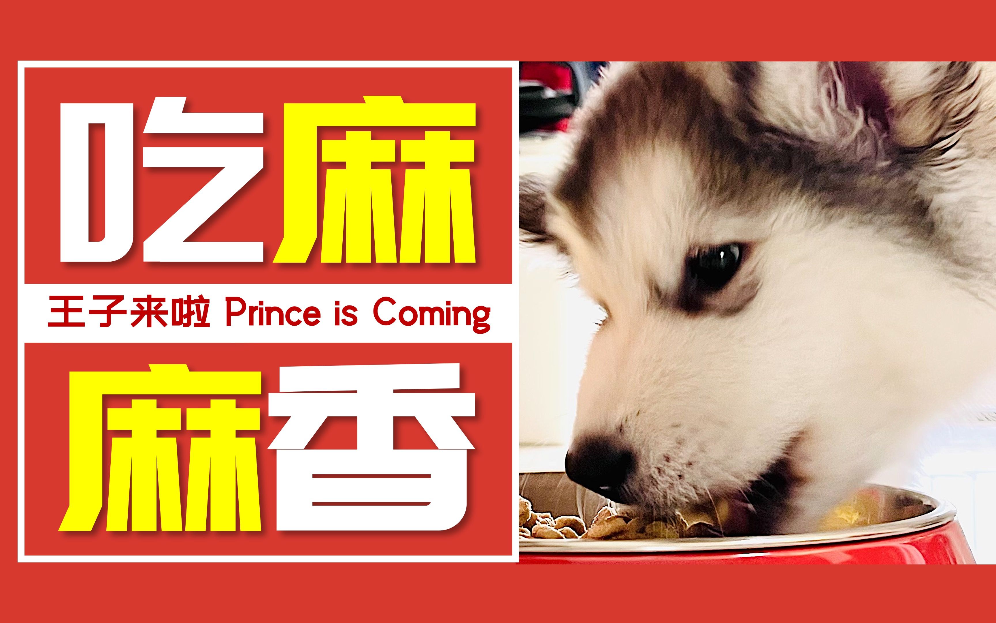 活动  王子驾到 敲解压干饭