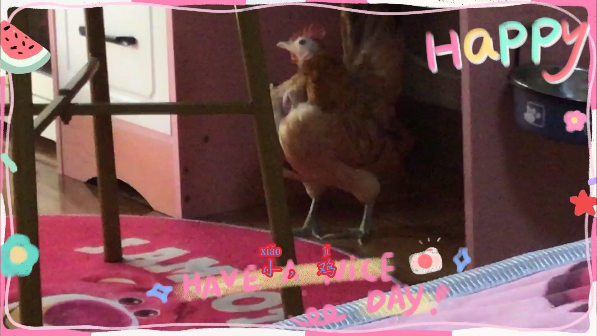 【恋宝宝er】更新了一条视频,快来围观!