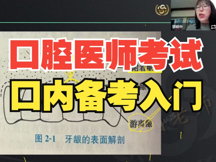 牙周病学郭晓华金英杰蝈蝈老师,口腔助理医师资格考试备考哔哩哔哩bilibili