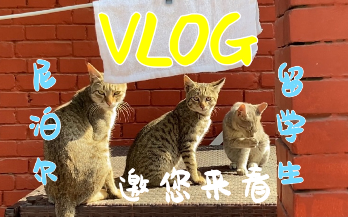 「在尼泊尔周末怎么过?