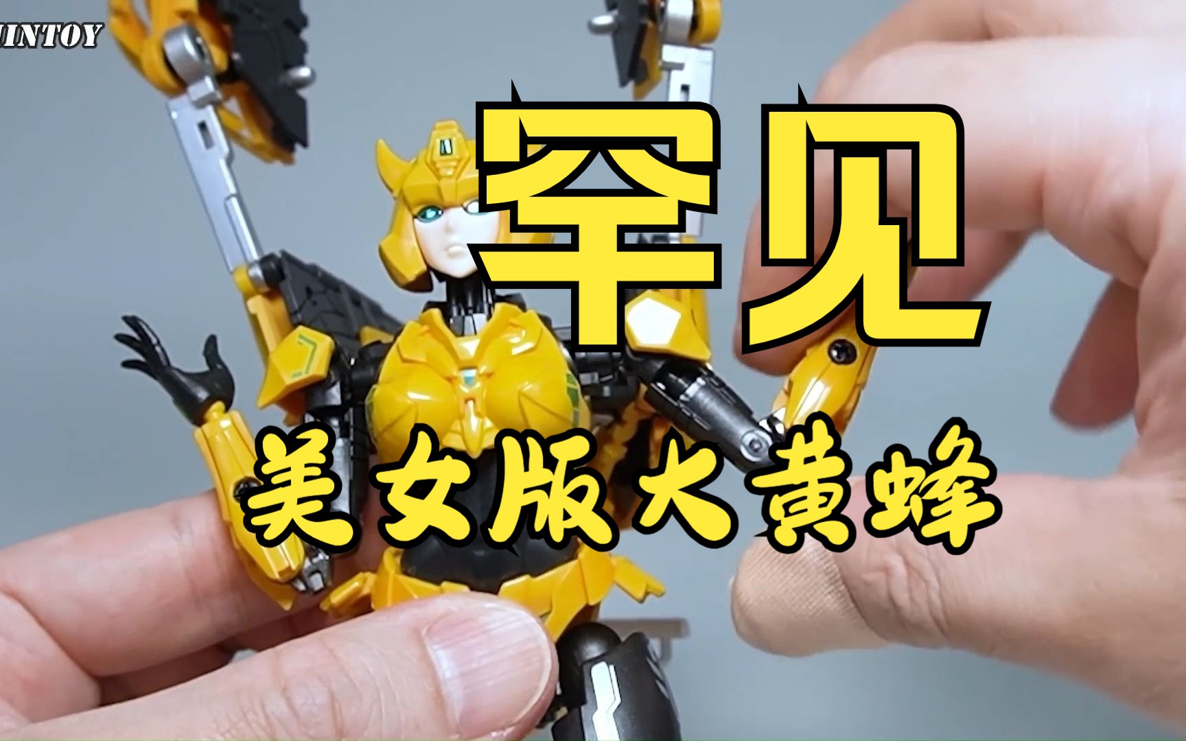 变形金刚系列,罕见的女性大黄蜂,让你大饱眼福