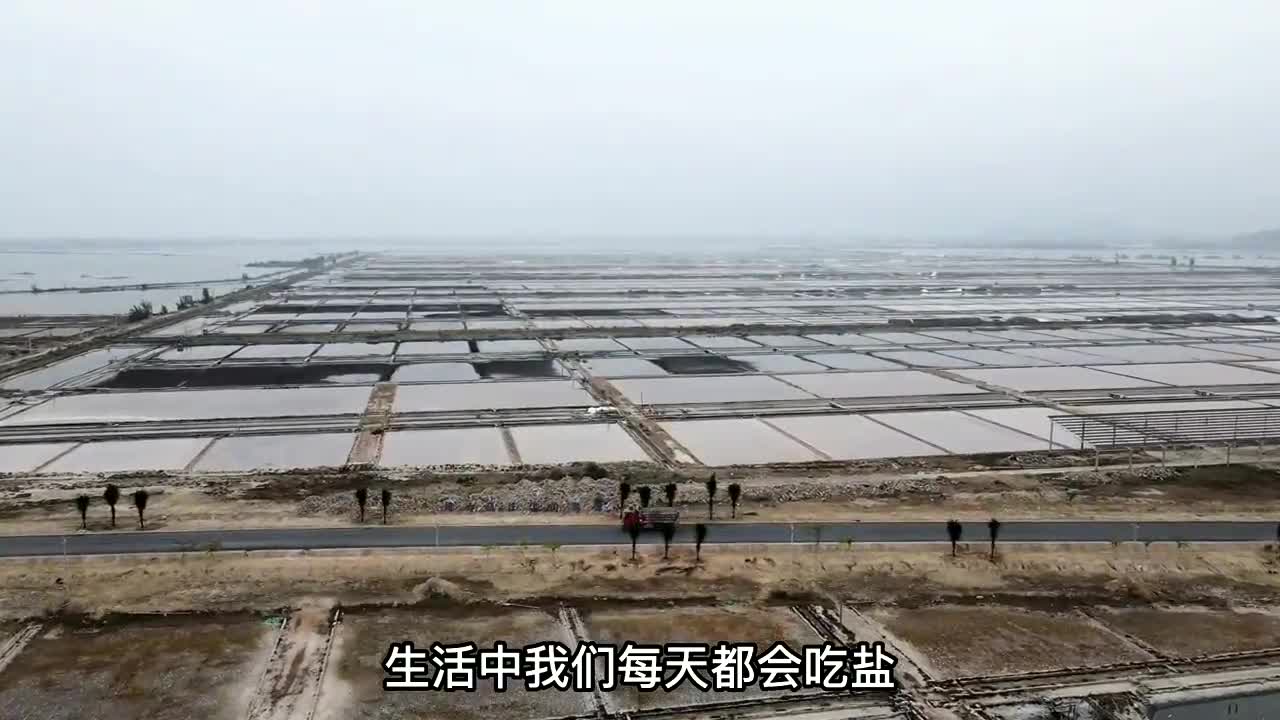 莺歌盐场图片