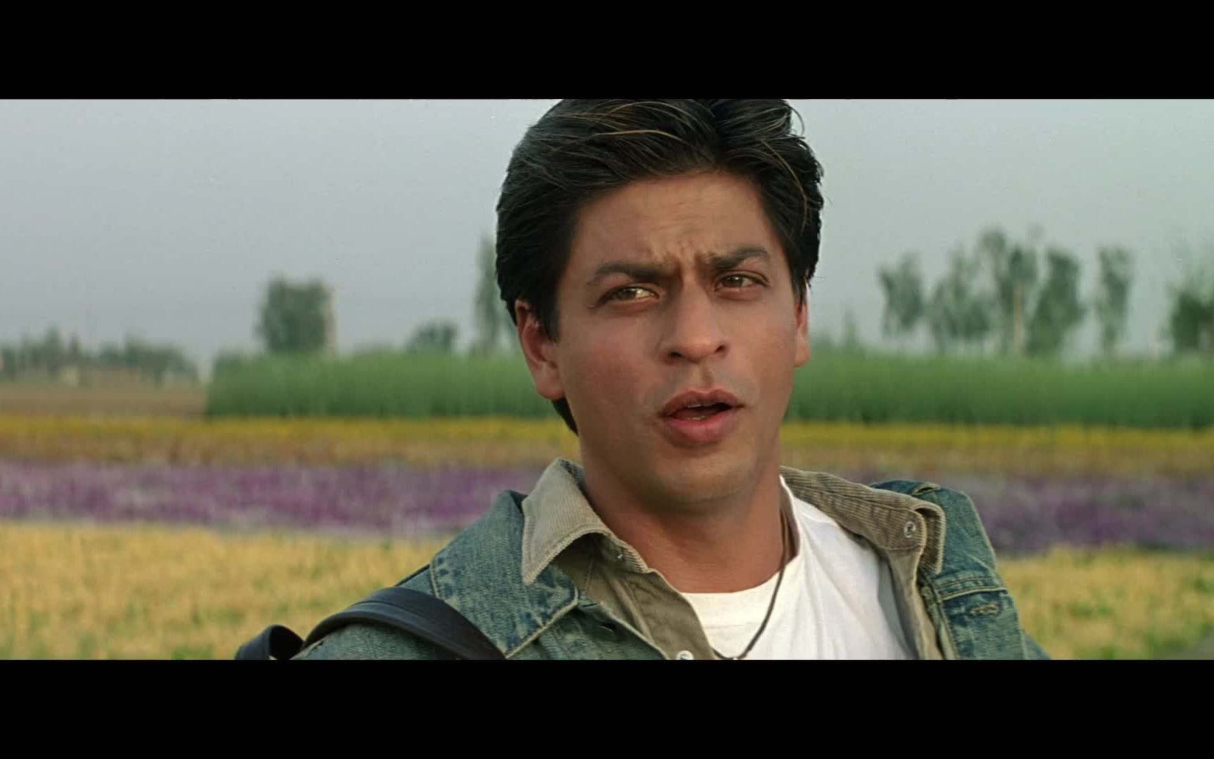 aisa des hai mera song veer-zaara shah rukh khan 沙鲁克汗