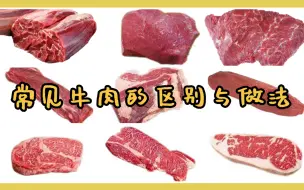 Скачать видео: 【1】牛肉不同部位的区别与做法！极干，小白配水食用！