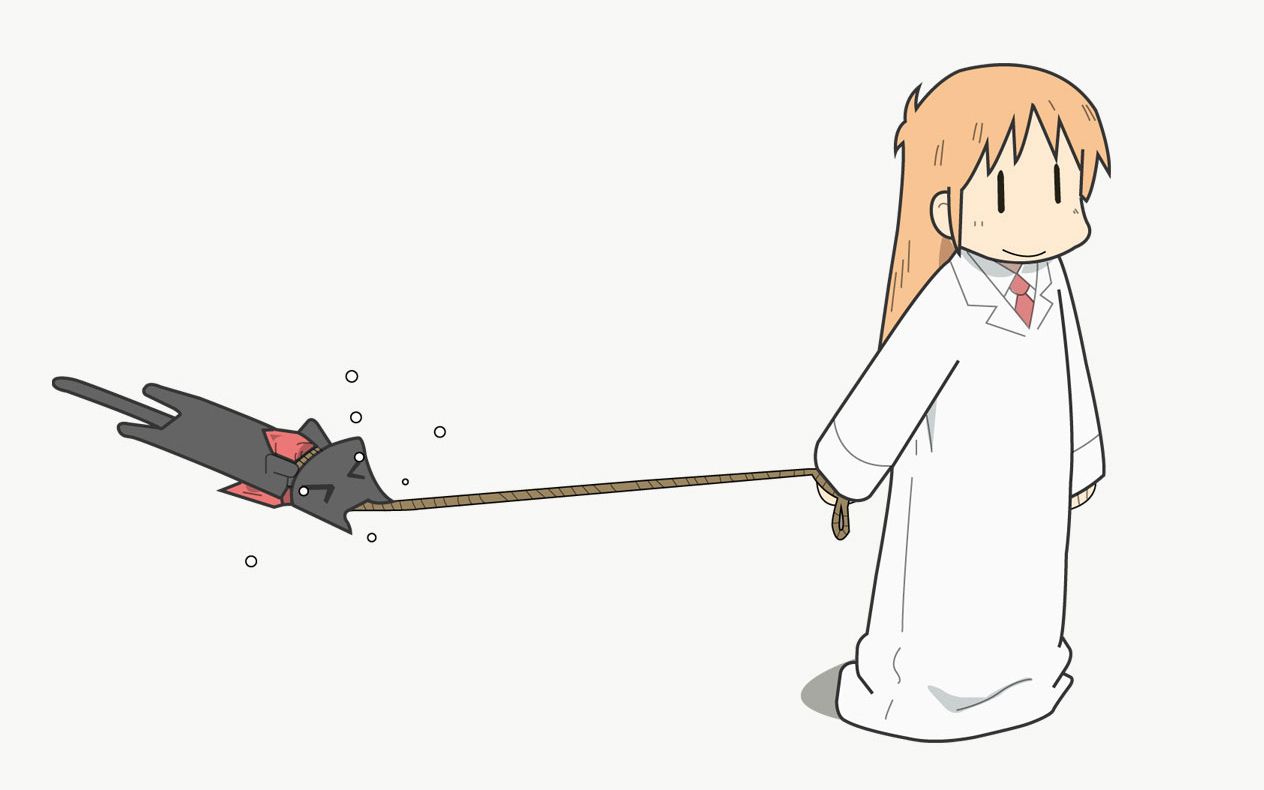 【科学逗猫】东云实验室·跳瓶