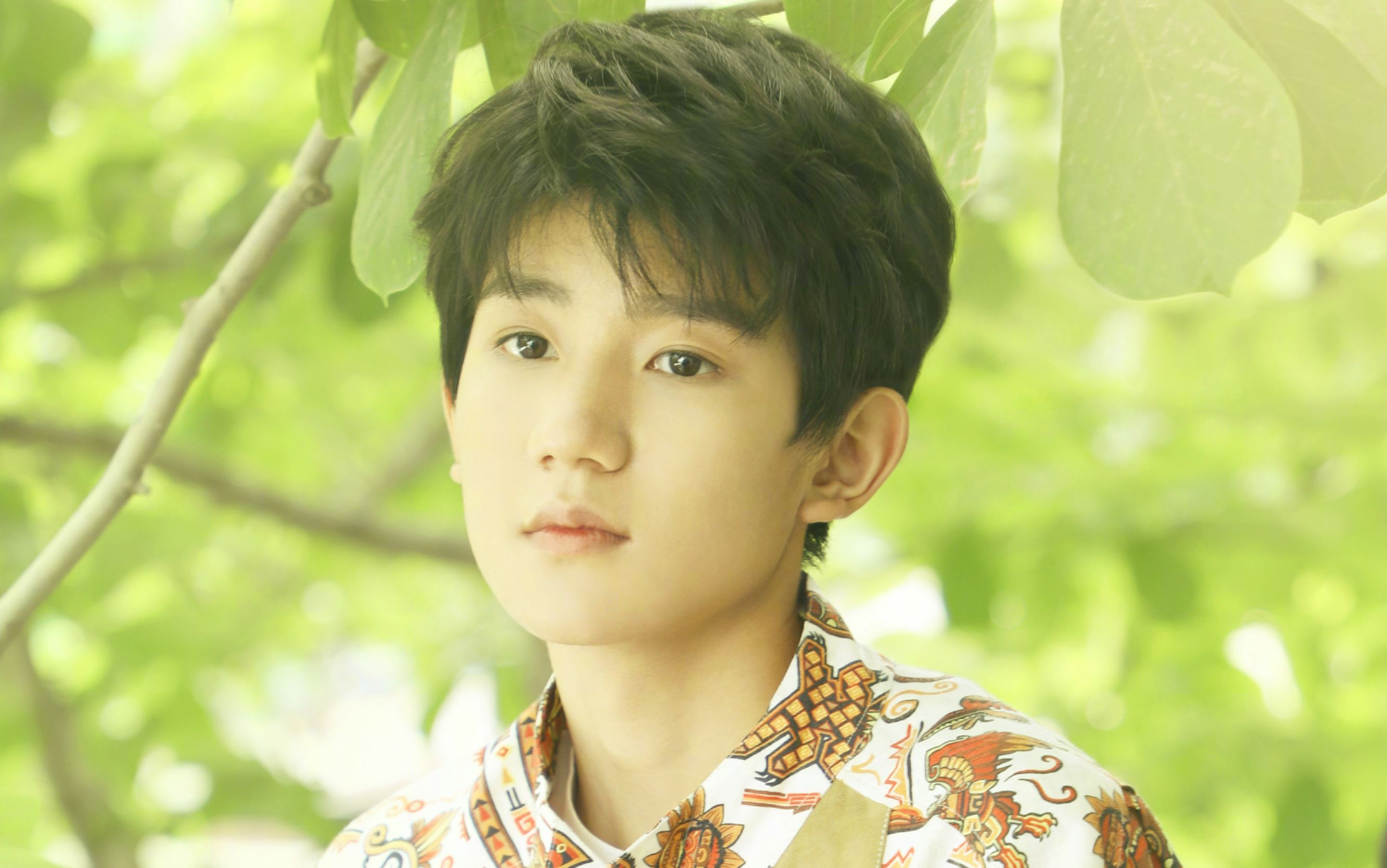 【王源】追光者