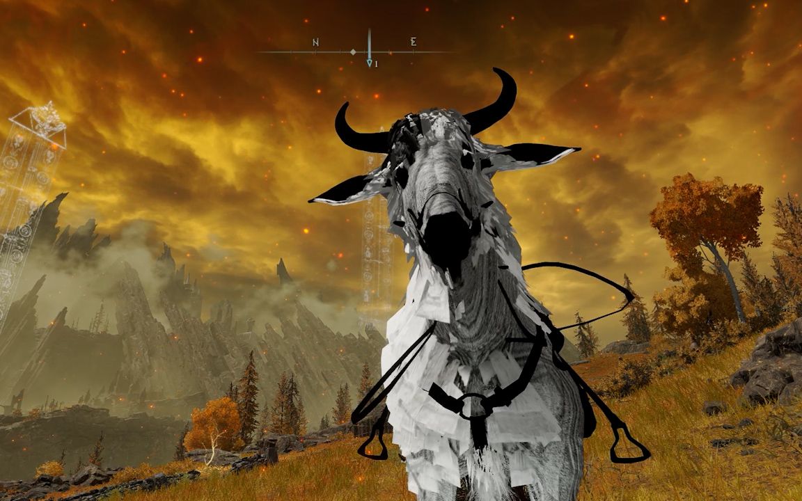 老头登唯一的一只黑白抽象大型灵马