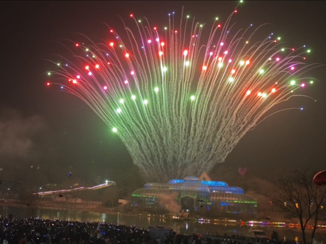 2025南京大塘金香草谷跨年烟花表演