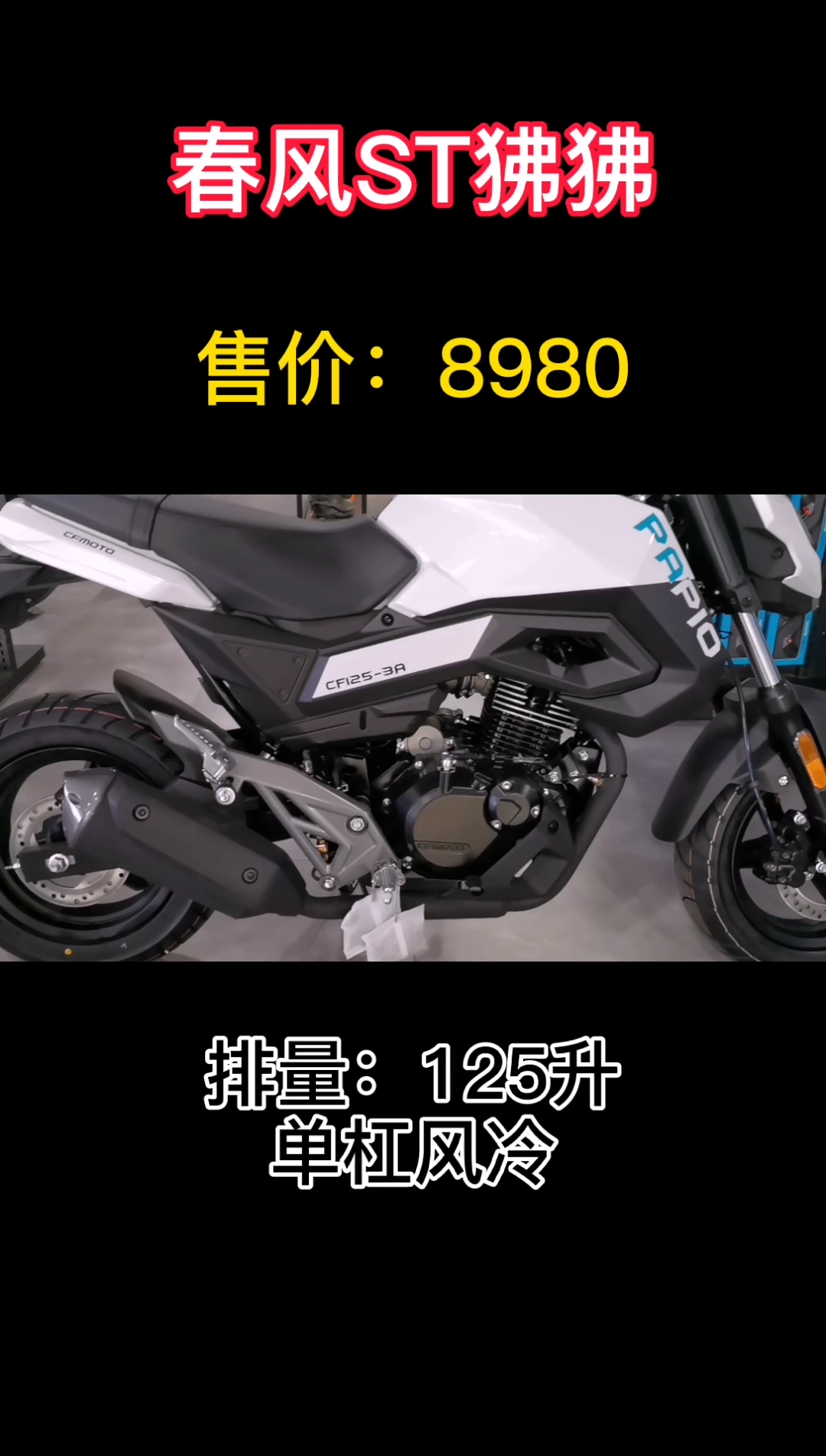 春风狒狒st坐高测评仅供参考