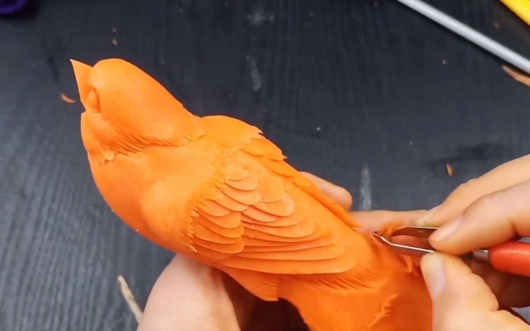 胡萝卜雕刻小鸟分解图图片