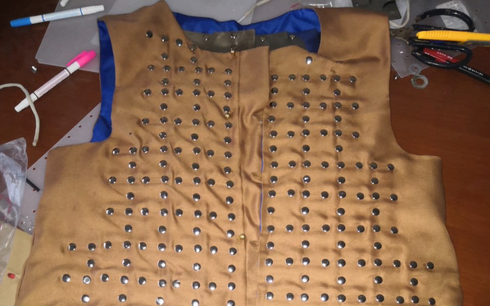 布面甲完工很快,比较重,我没想到