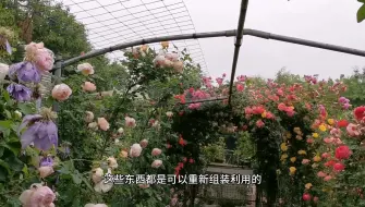 Скачать видео: 月季花园不一定非要用钱堆出来，简单废旧的材料也能造出梦想庭院