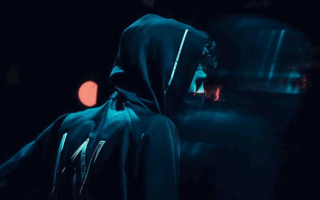 [图]【纪录片】Alan Walker Unmasked(第一章)