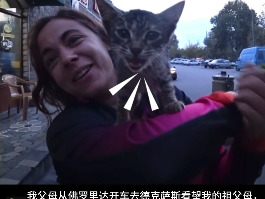 国外小姐姐旅途中捡到一只狸花猫,最后幸运的为她找到了新家!哔哩哔哩bilibili