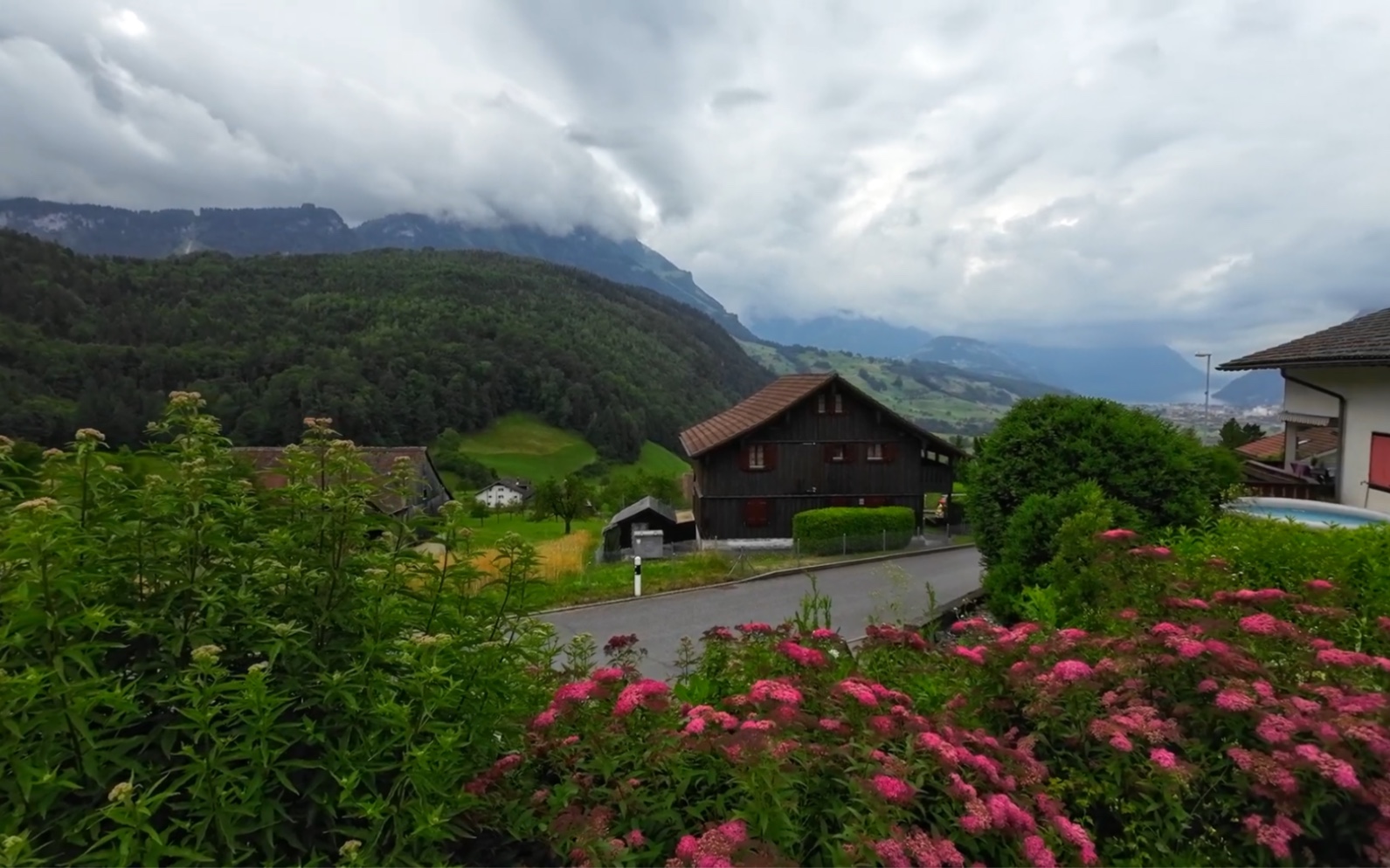 探索瑞士的荒野蚂蚁小径在风景秀丽的施维茨草甸徒步旅行