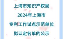 【上海市知识产权局】:2024年上海市专利工作试点示范单位拟认定名单的公示专利工作试点单位哔哩哔哩bilibili