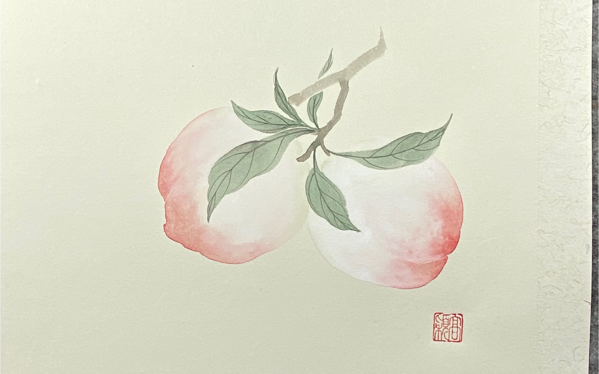 中国画—桃子的没骨画法
