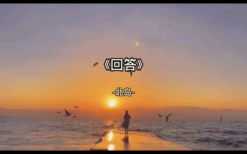 北岛回答哔哩哔哩bilibili