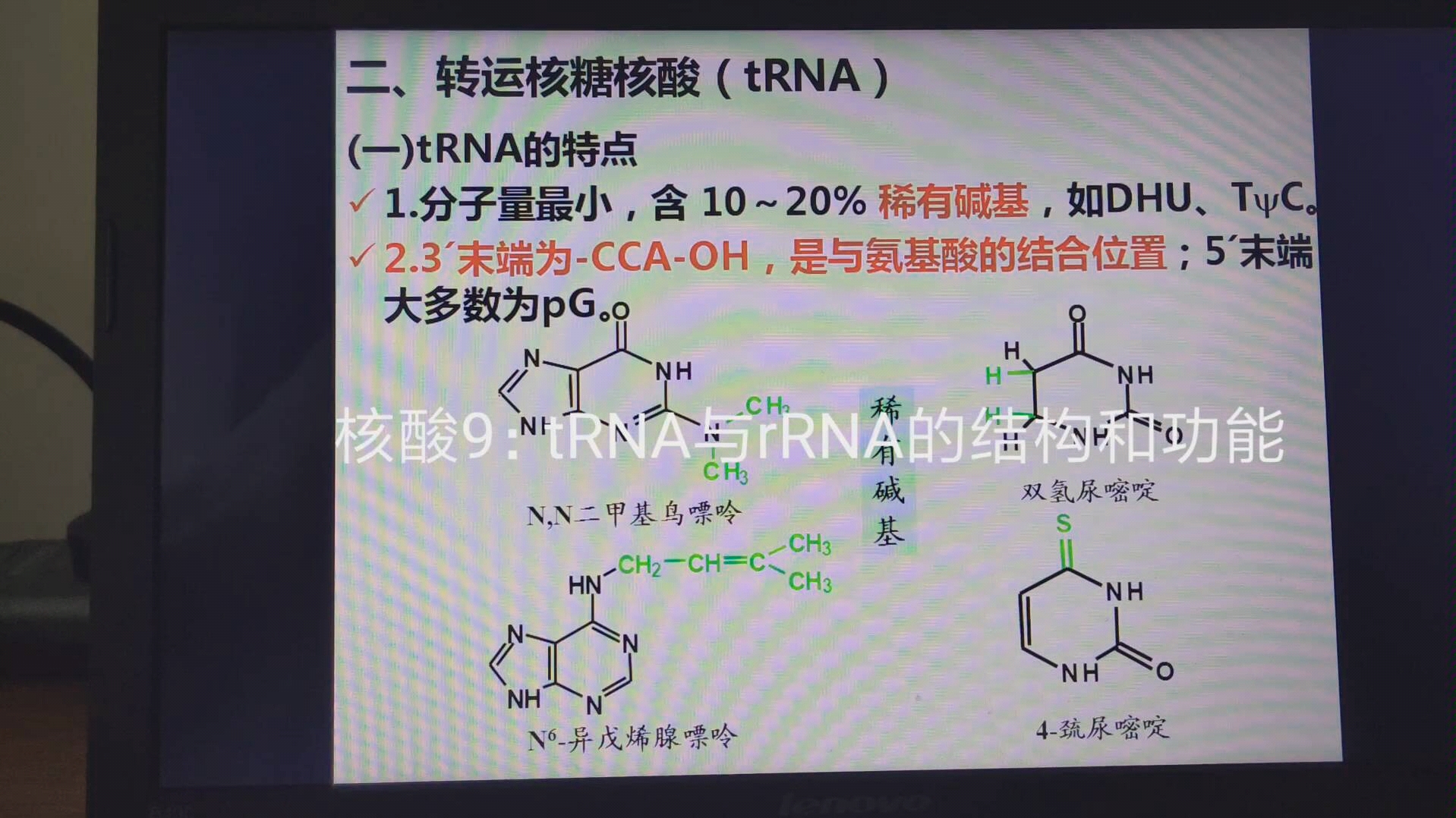 核酸9:tRNA与rRNA的结构和功能哔哩哔哩bilibili