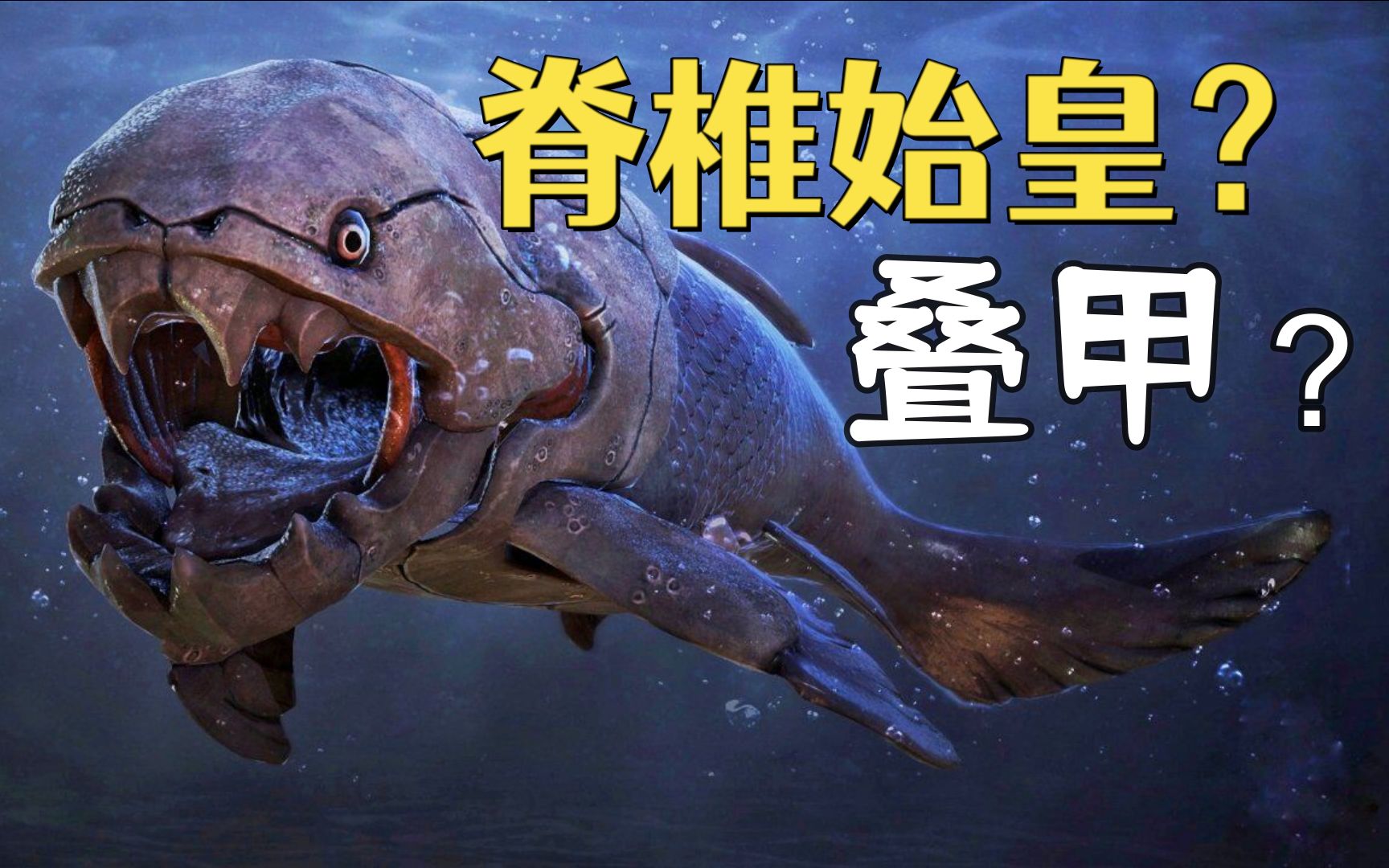 盾皮鱼vs邓氏鱼图片