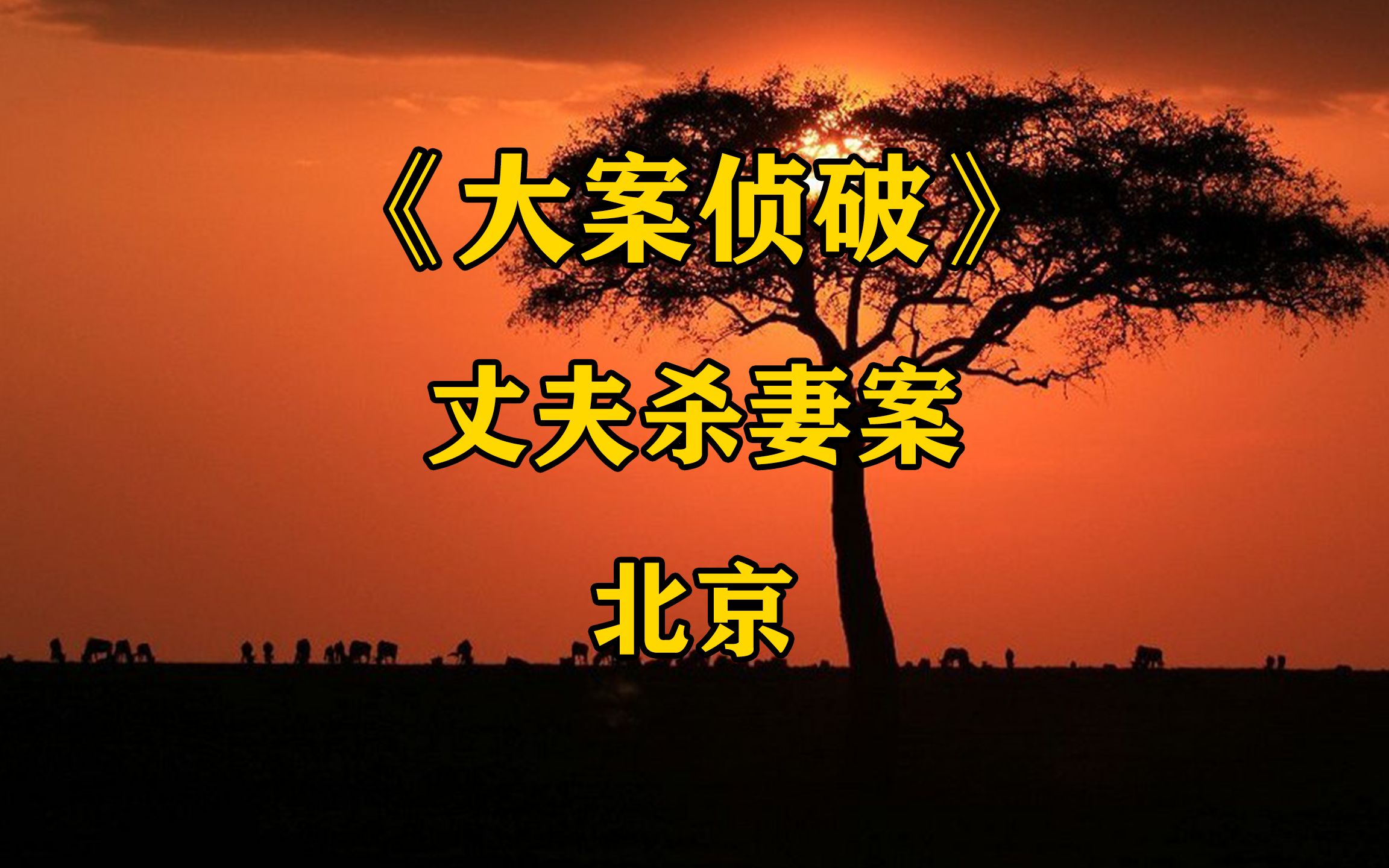 2023北京最新大案,只因一些家庭矛盾,丈夫竟狠心杀害妻子哔哩哔哩bilibili