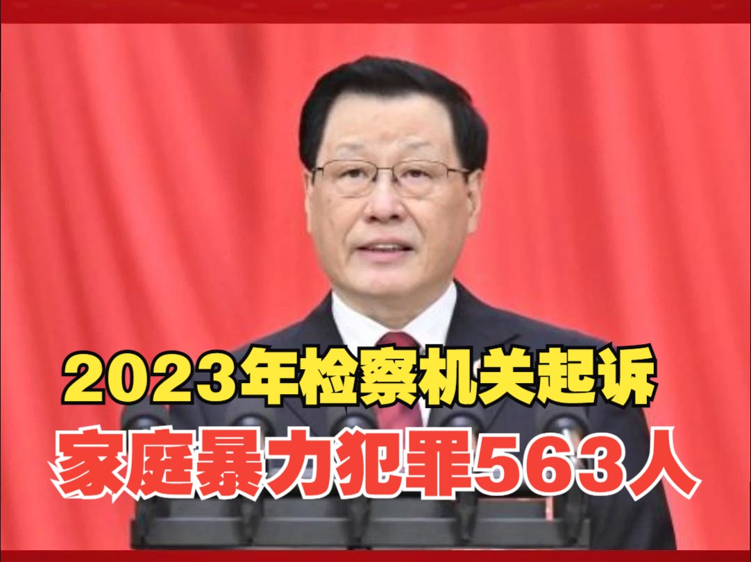 最高检:2023年检察机关起诉家庭暴力犯罪563人哔哩哔哩bilibili