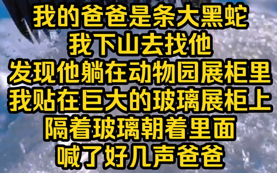 [图]我的爸爸是条大黑蛇，下山去找他发现他，躺在动物园展柜里，我隔着玻璃朝里面喊了好几声爸爸，里头尚未成精的黑金大蟒蛇却瑟瑟发抖……