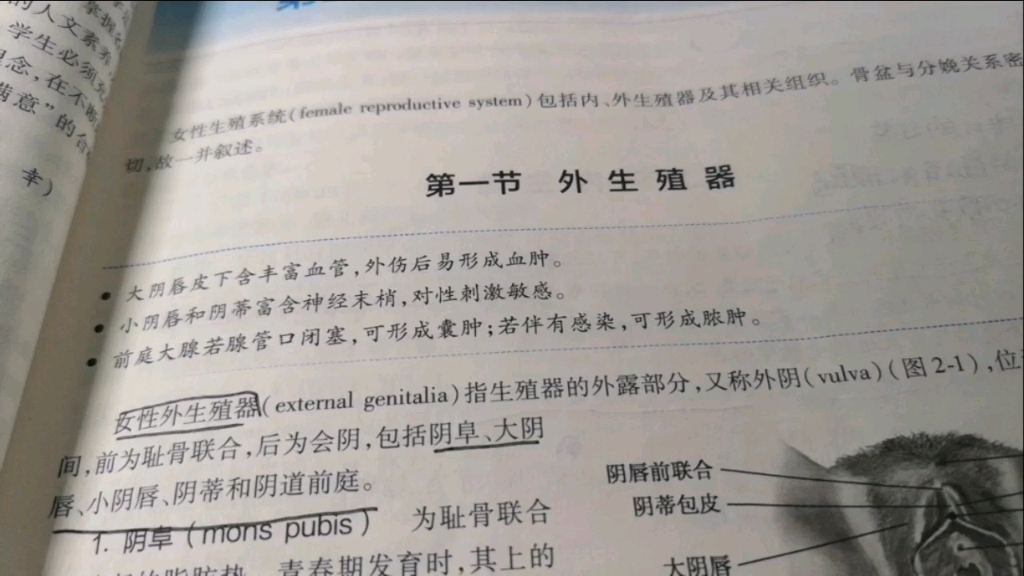 [图]妇产科学—第二章解剖简短总结1（本章未完）