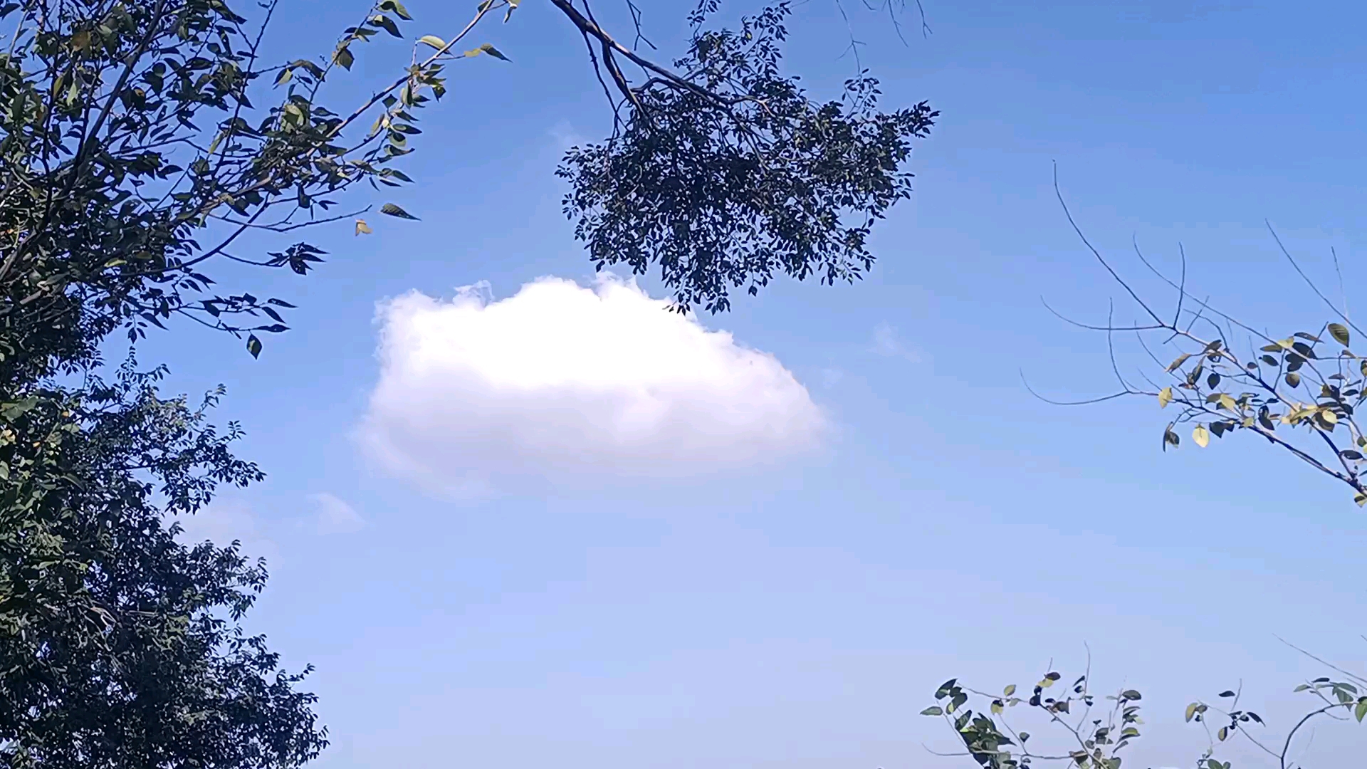 这一天其实是眼睛很累了才决定出来的,听听鸟叫,吹吹风看看云