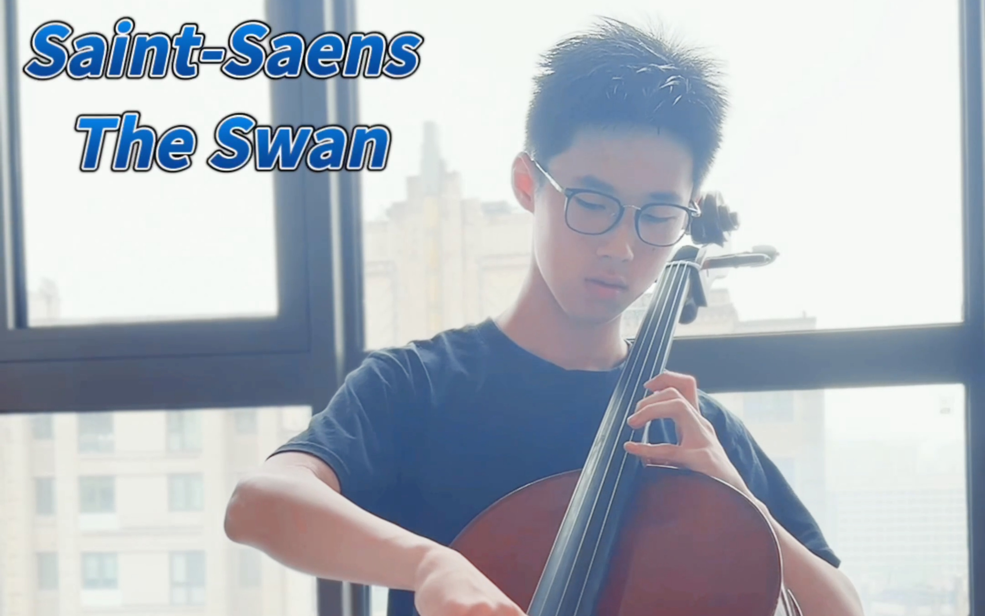 大提琴独奏圣桑《天鹅》SaintSaens The Swan哔哩哔哩bilibili