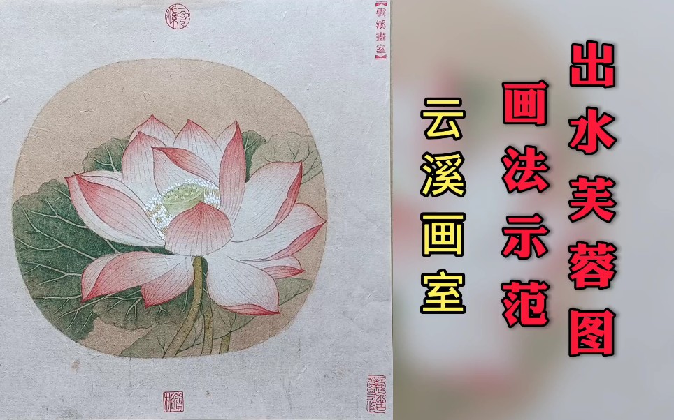 [图]出水芙蓉图画法示范——云溪画室