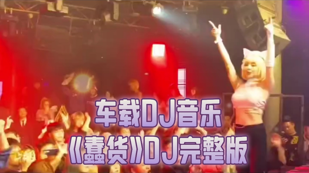 [图]车载DJ音乐《蠢货》DJ完整版