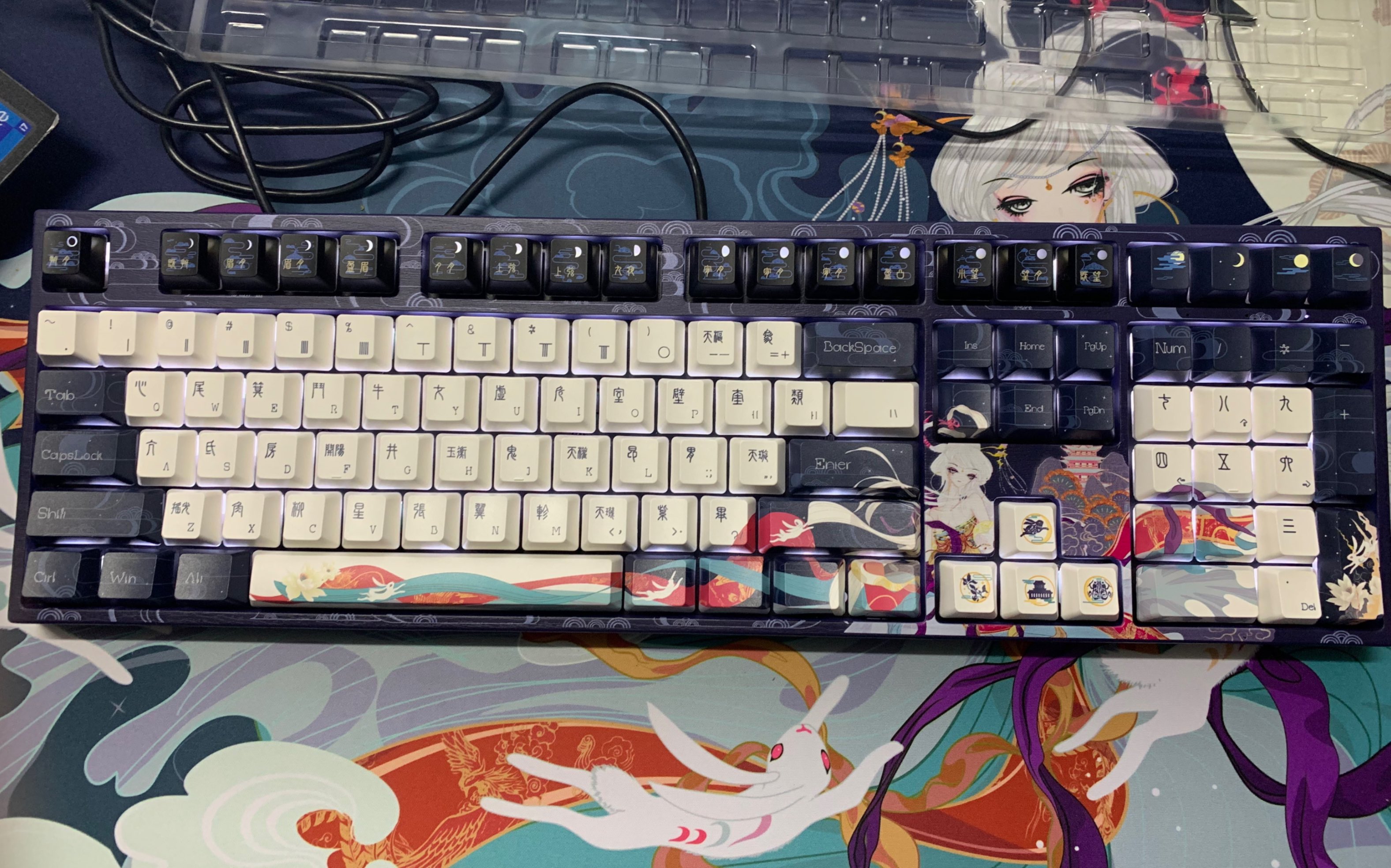 抽象宿舍开箱阿米洛嫦娥捏